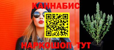 дмт Будённовск