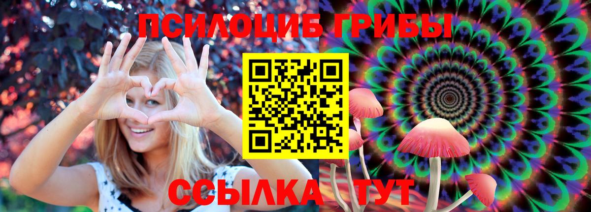 Псилоцибиновые грибы мицелий  Псилоцибиновые грибы ЛСД  Вход с VPN  Люберцы 